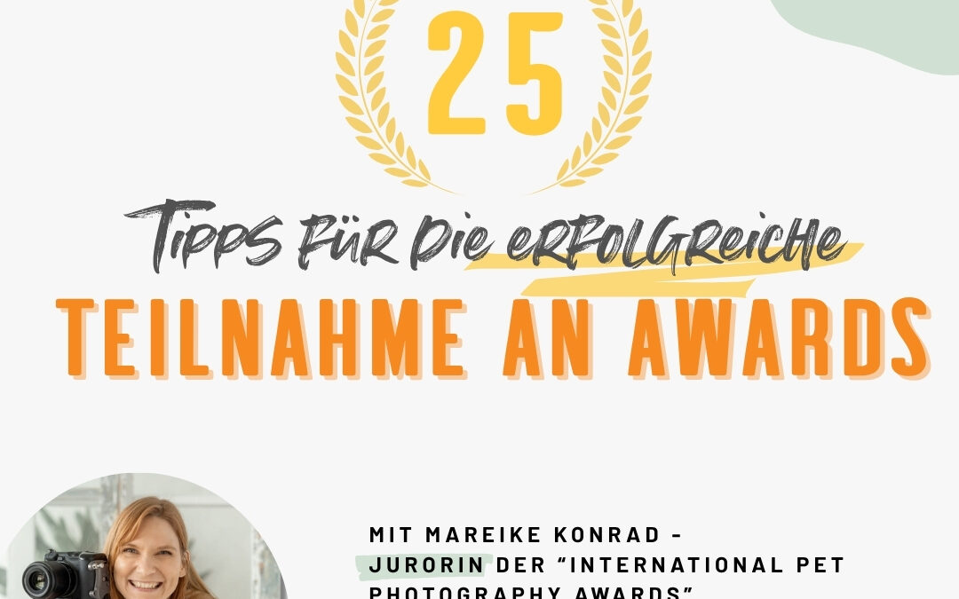 Über die Teilnahme an Awards (Einblicke, Nutzen und Tipps)